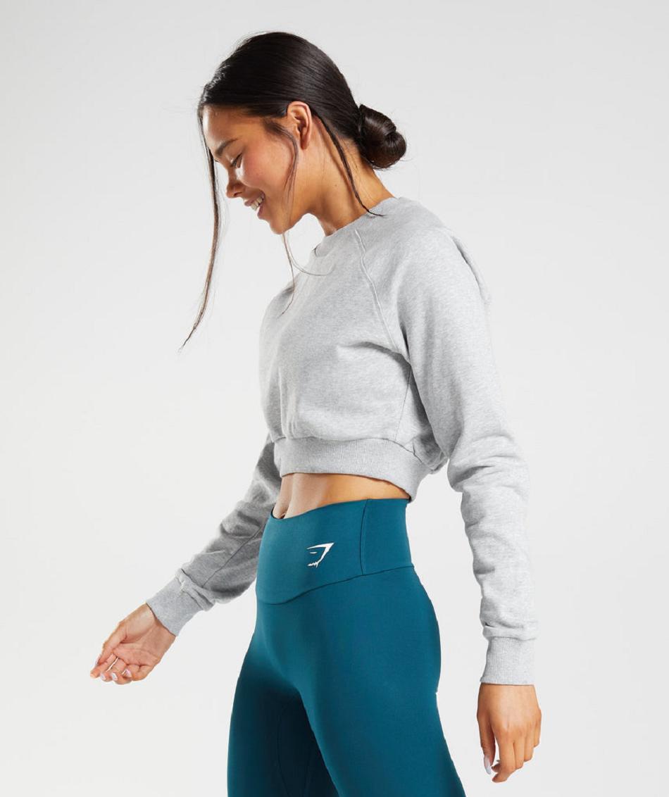 Gymshark Training Cropped Sweater Ženske Accessories Svijetlo Sive | HR 3773HAP